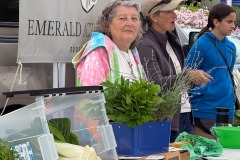 farmers-market-emerald-acres-sturgeon-bay-web