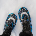 Snow shoes