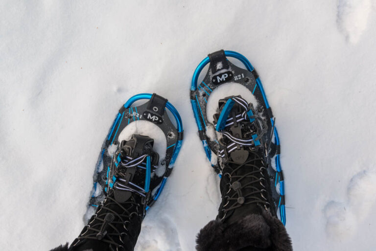 Snow shoes