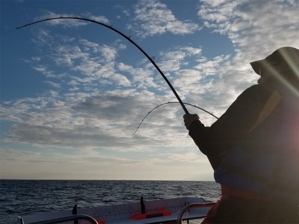 Bill Luer of Nooo Problem Charters angling for a catch.