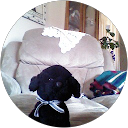 Alex profile picture